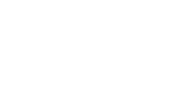 Vidao Nails & Day Spa Logo